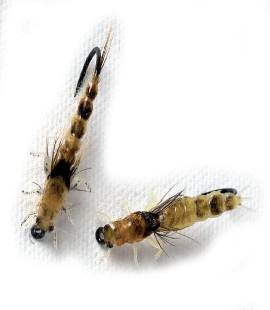 Ephemera Danica Nymphs