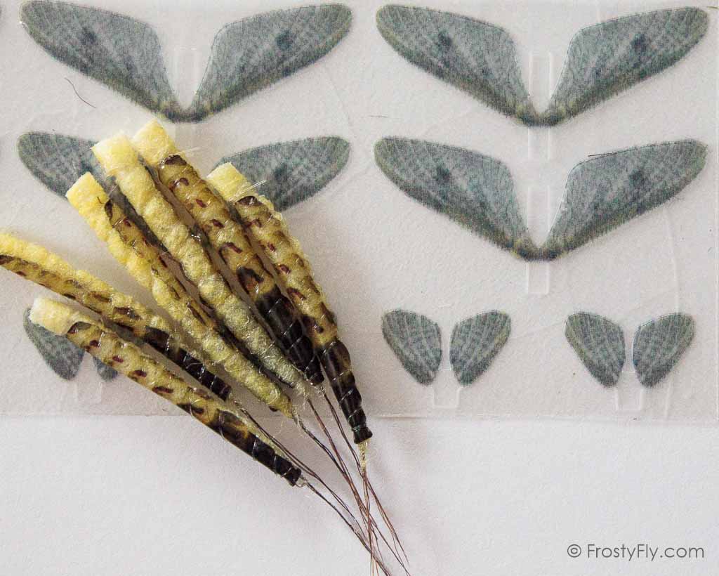 Realistic Ephemera Danica Set - Tube Body & Wings - 6 Sets