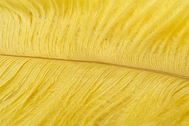 Fly Tying Ostrich Feathers 10-12 inch - Banana Yellow