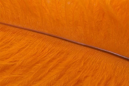 Fly Tying Ostrich Feathers 10-12 inch - Hot Orange