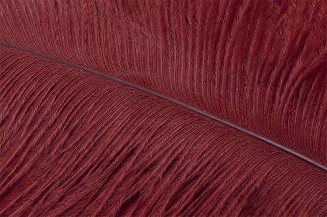 Fly Tying Ostrich Feathers 10-12 inch - Rusty Brown