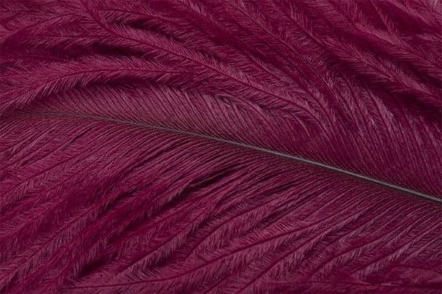 Fly Tying Ostrich Feathers 10-12 inch - Rusty Red