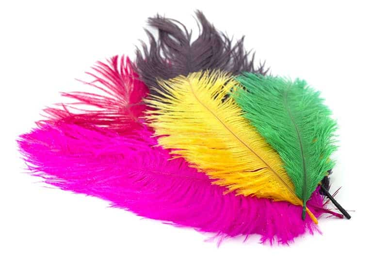 Fly Tying Ostrich Feathers 10-12 inch
