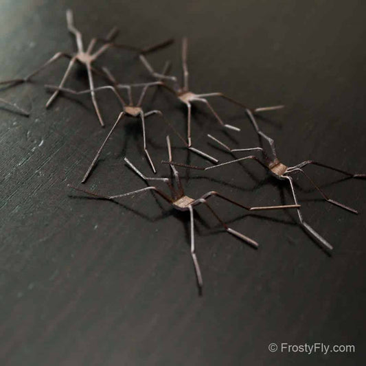 Frosty Fly Realistic Crane Fly Legs 3D