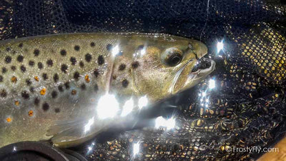 Frosty Fly's Realistic Big Black Flying Ant in Action