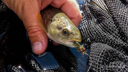 Frosty Fly's Realistic Caddis Emerger Fly in Action