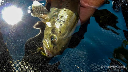 Frosty Fly's Realistic Caddis Emerger Fly in Action