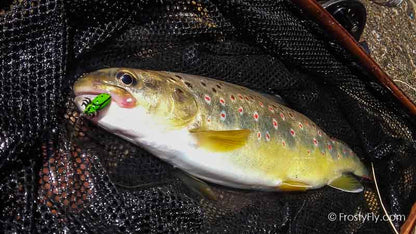 Frosty Fly's Realistic Green Ladybug in Action