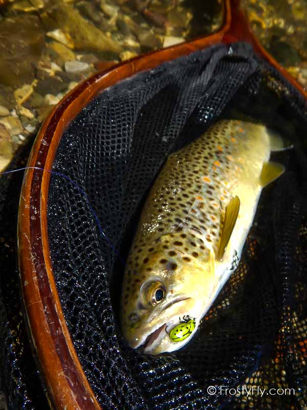 Frosty Fly's Realistic Green Ladybug in Action