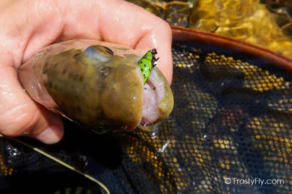 Frosty Fly's Realistic Green Ladybug in Action