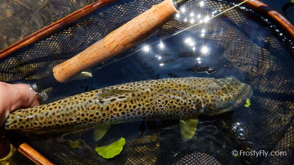 Frosty Fly's Realistic Green Ladybug in Action