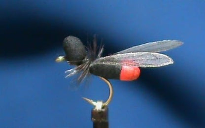 FrostyFly Flying Ant