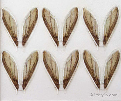 FrostyFly Realistic Bee Wings