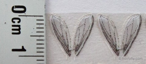 Realistic Bottle Fly Wings