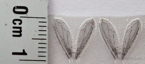 Realistic Bottle Fly Wings