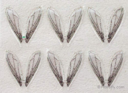 Frosty Fly Realistic Bottle Fly Wings
