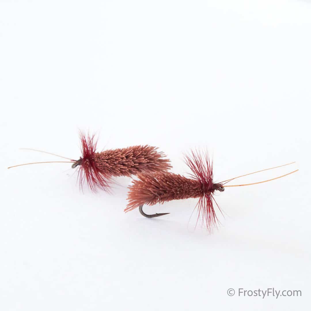 Goddard Caddis Fly - Brown