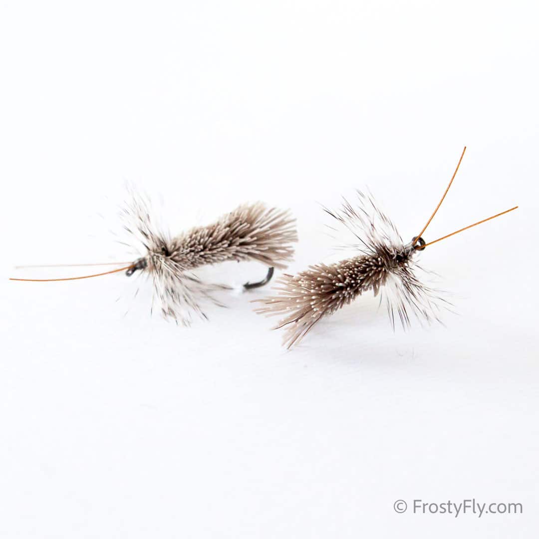 Goddard Caddis Fly - Tan