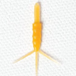 Realistic Mayfly Nymph Body with Tails