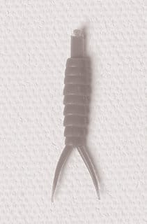 Realistic Stonefly Nymph Body with Tails