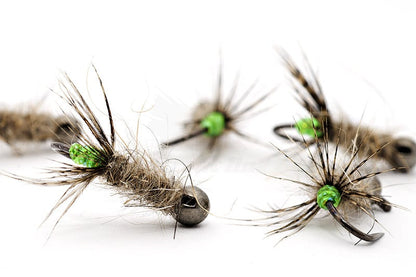 Green Peeping Caddis Jig Nymph