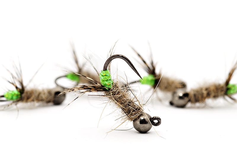 Green Peeping Caddis Jig Nymph