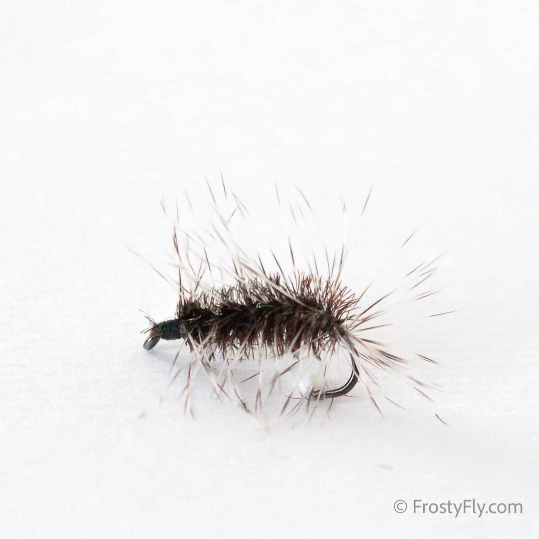 Griffith's Gnat Fly - Black
