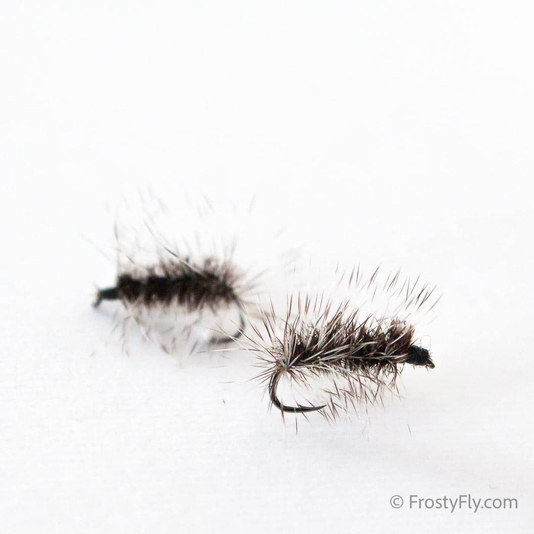 Griffith's Gnat Fly - Black