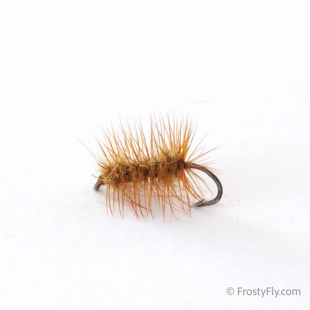 Griffith's Gnat Fly - Olive