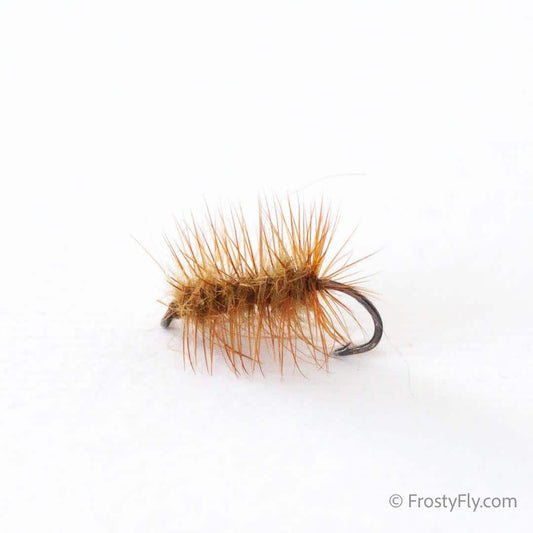 Griffith's Gnat Fly - Olive