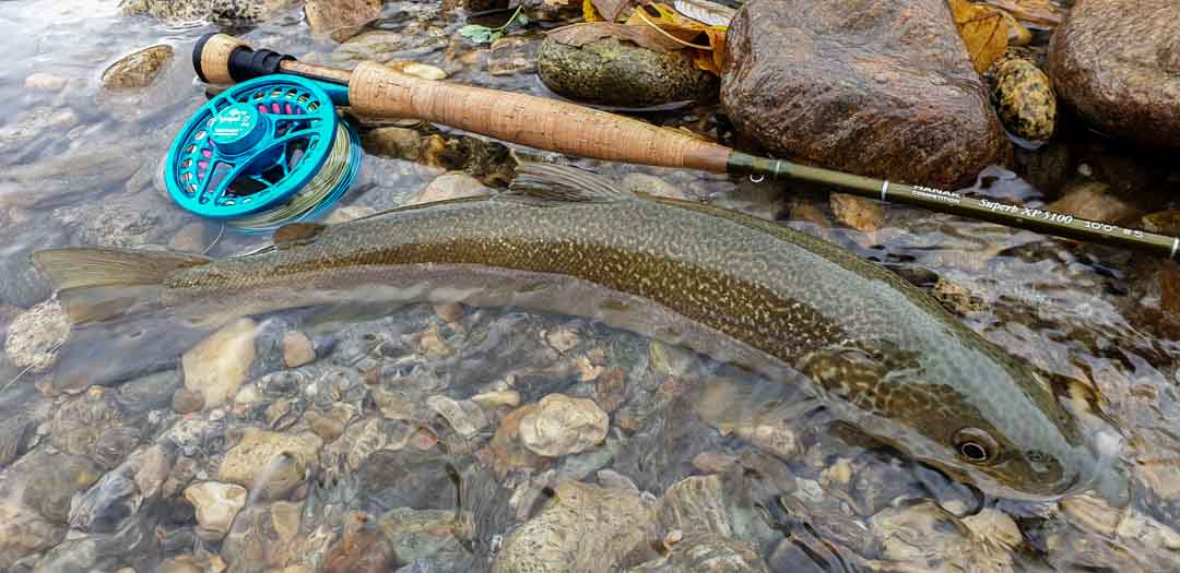 Hanak Alpen Nymph II 35 Reel