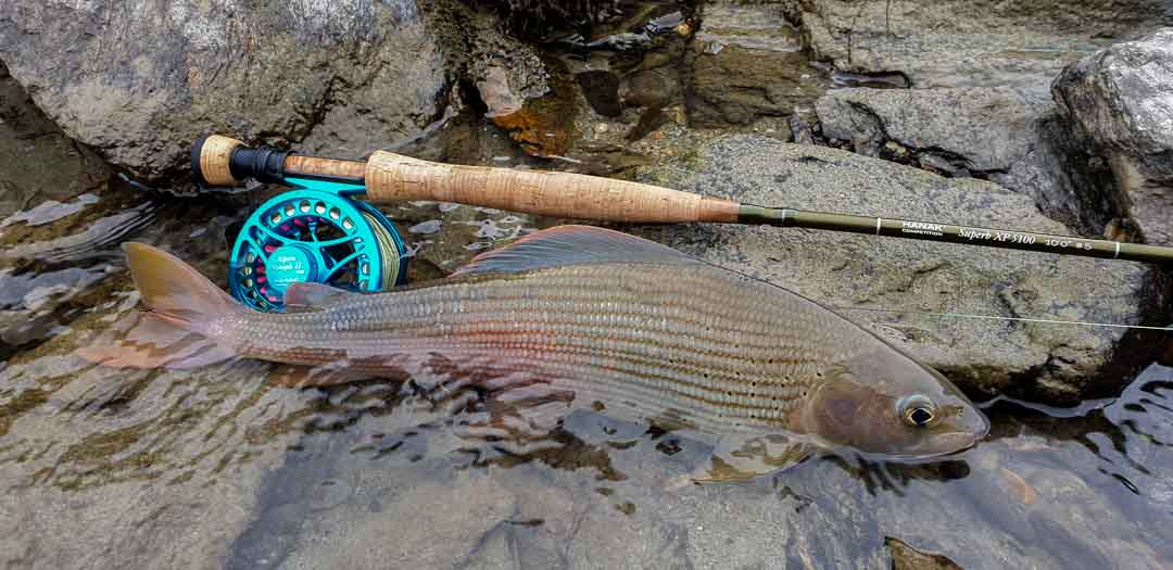 Hanak Alpen Nymph II 35 Reel