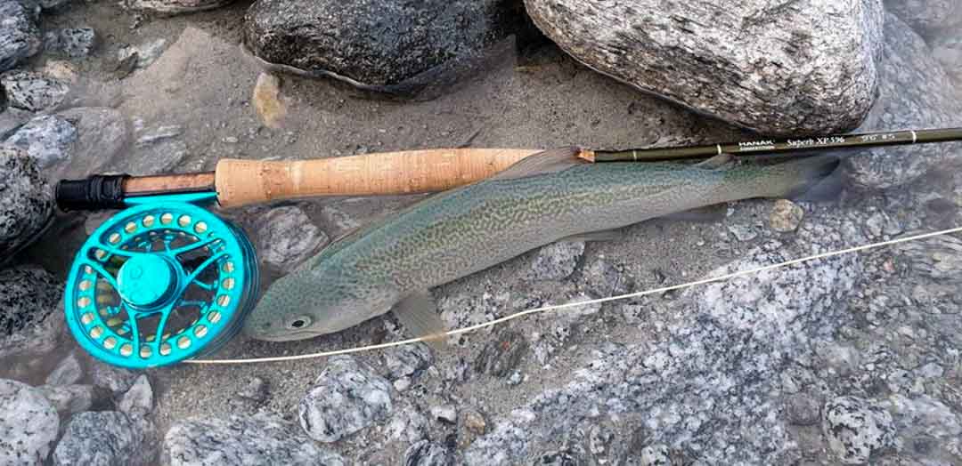 Hanak Alpen Nymph II 35 Reel