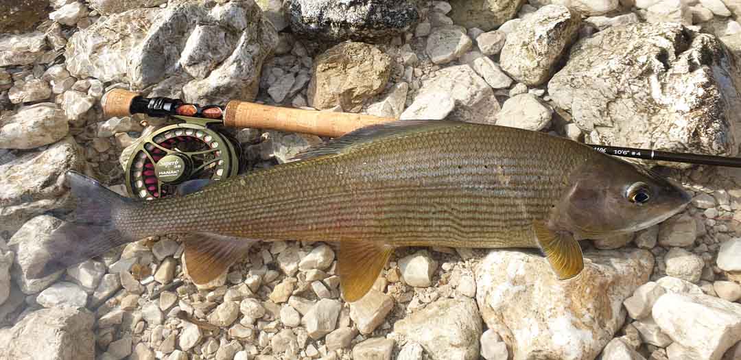 Hanak Superb XP Reel