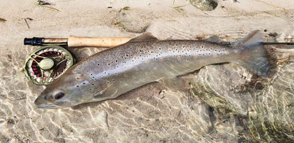 Hanak Superb XP Reels