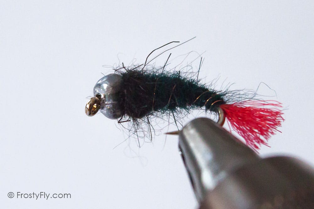 Heavy Weighted Czech Nymph - Red Butt