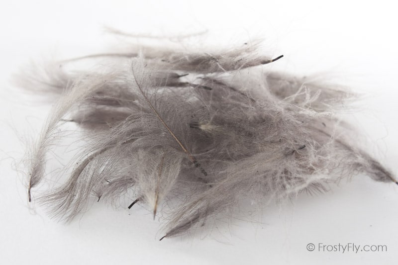 Hemingway's CDC Feathers - Blue Dun