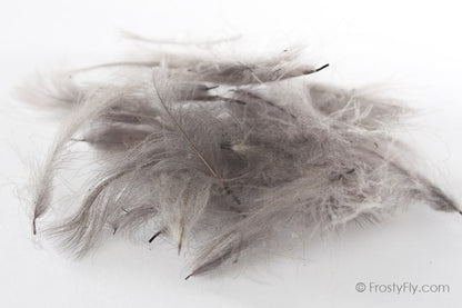 Hemingway's CDC Feathers - Blue Dun