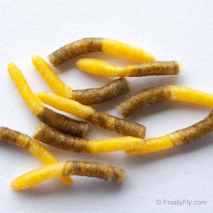 Hemingway's Hopper Tube Bodies - Yellow