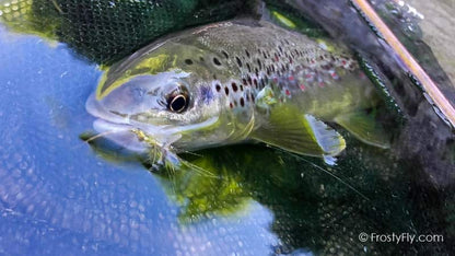 Hemingway's Realistic Mayfly Dry in Action