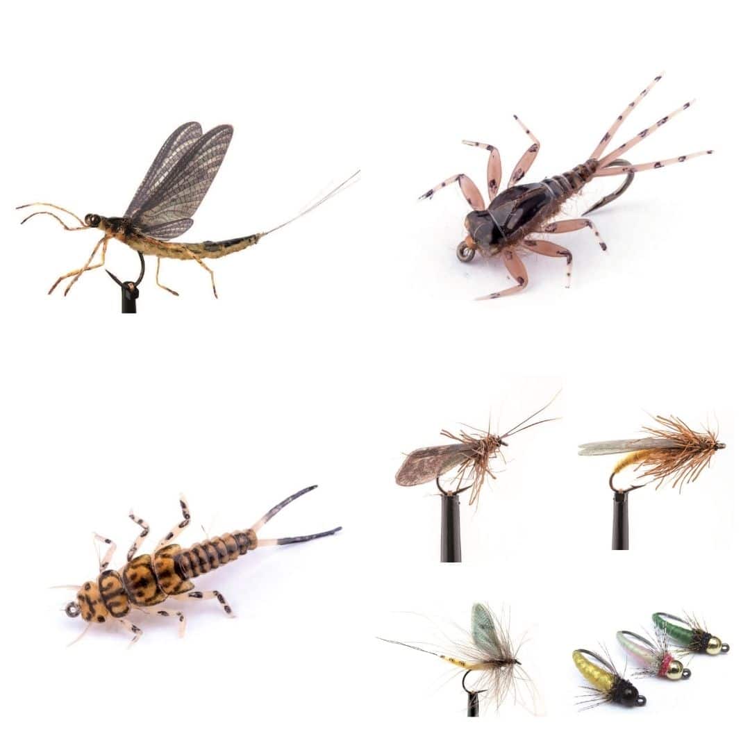 Hemingway's Premium Fly Tying Kit - Patterns 2