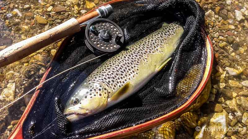 Hemingway's Realistic Caddis Fly in Action