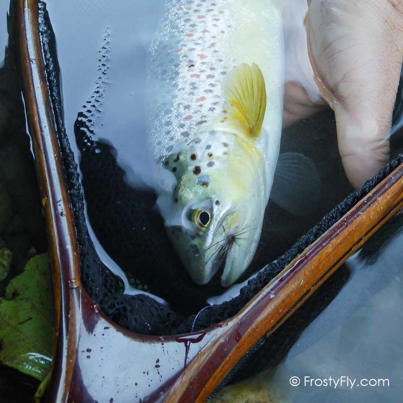 Hemingway's Realistic Caddis Fly Dry - Brown