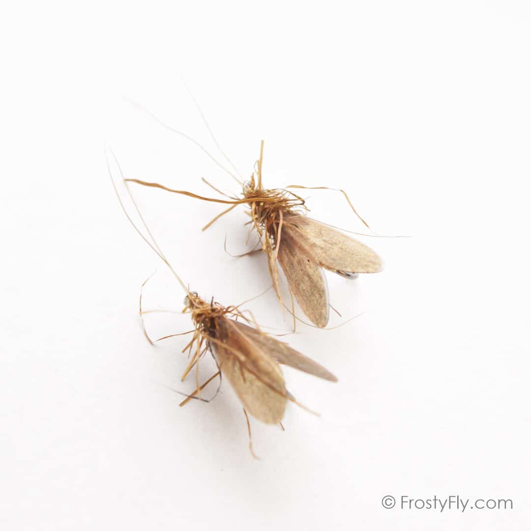 Hemingway's Realistic Caddis Wings - Hemingway's Realistic Caddis Fly