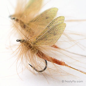 Realistic Mayflies