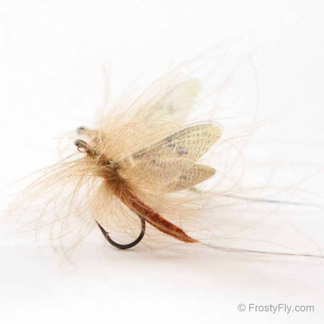 Hemingway's Realistic Mayflies tied with Realistic Mayfly Wings