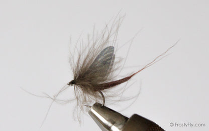 Hemingway's Realistic Mayfly