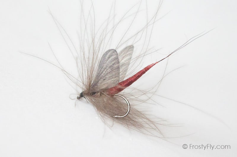 Realistic Mayfly Dry