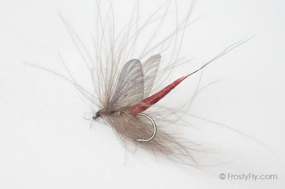 Realistic Mayfly Dry
