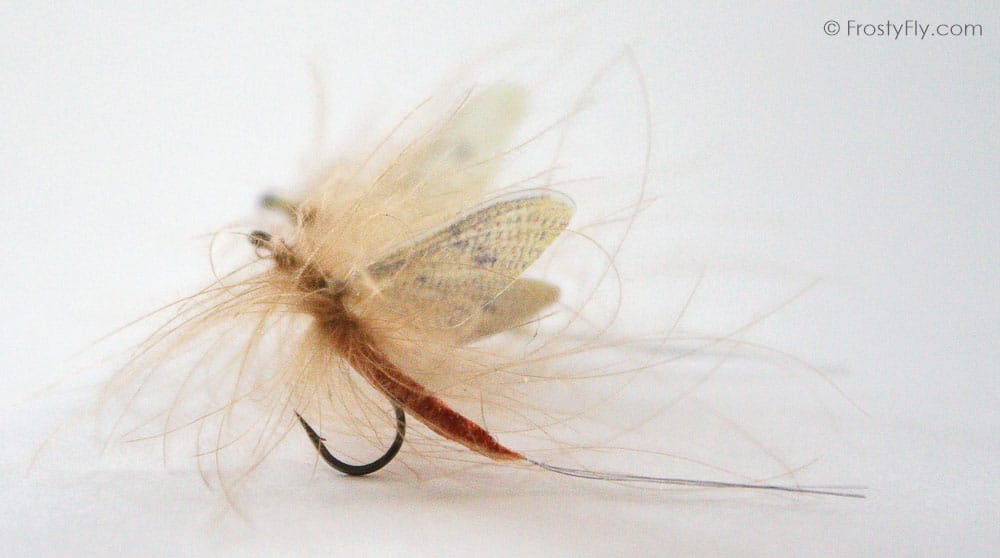 Hemingway's Realistic Mayfly Dry in Action